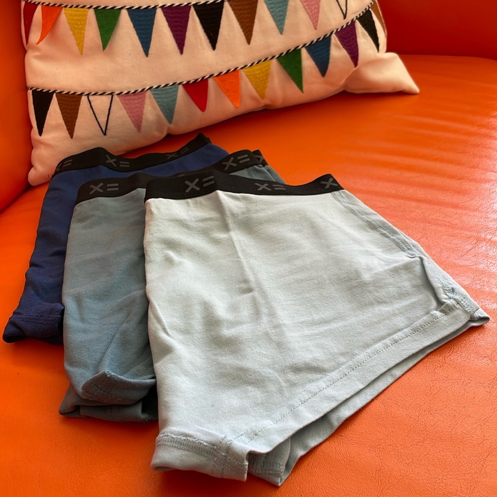 TomboyX Lightweight Boy Shorts 3-pack Bluestone